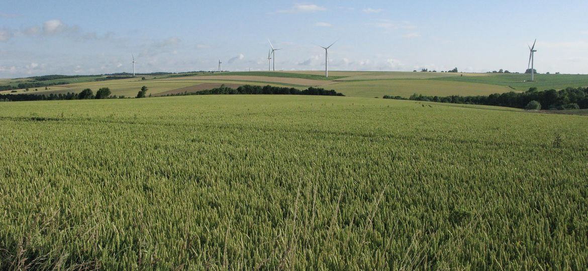 200807 header nord pas de calais